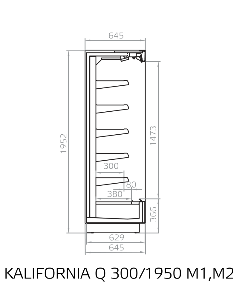 Cross Sections